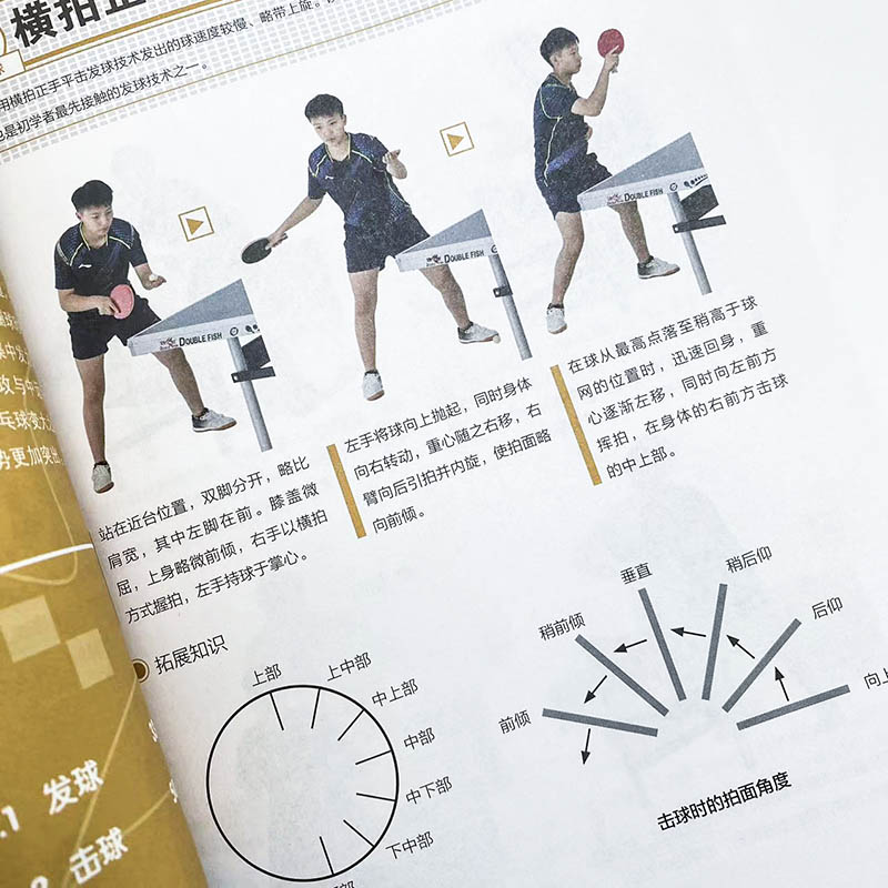 Fundamentos del tenis de mesa: - Table Tennis Video reseña y precio